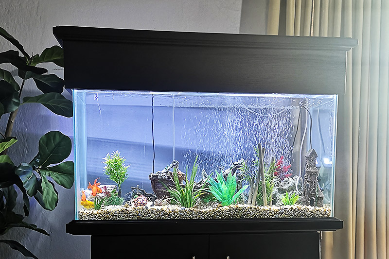 warmbaths accomodation